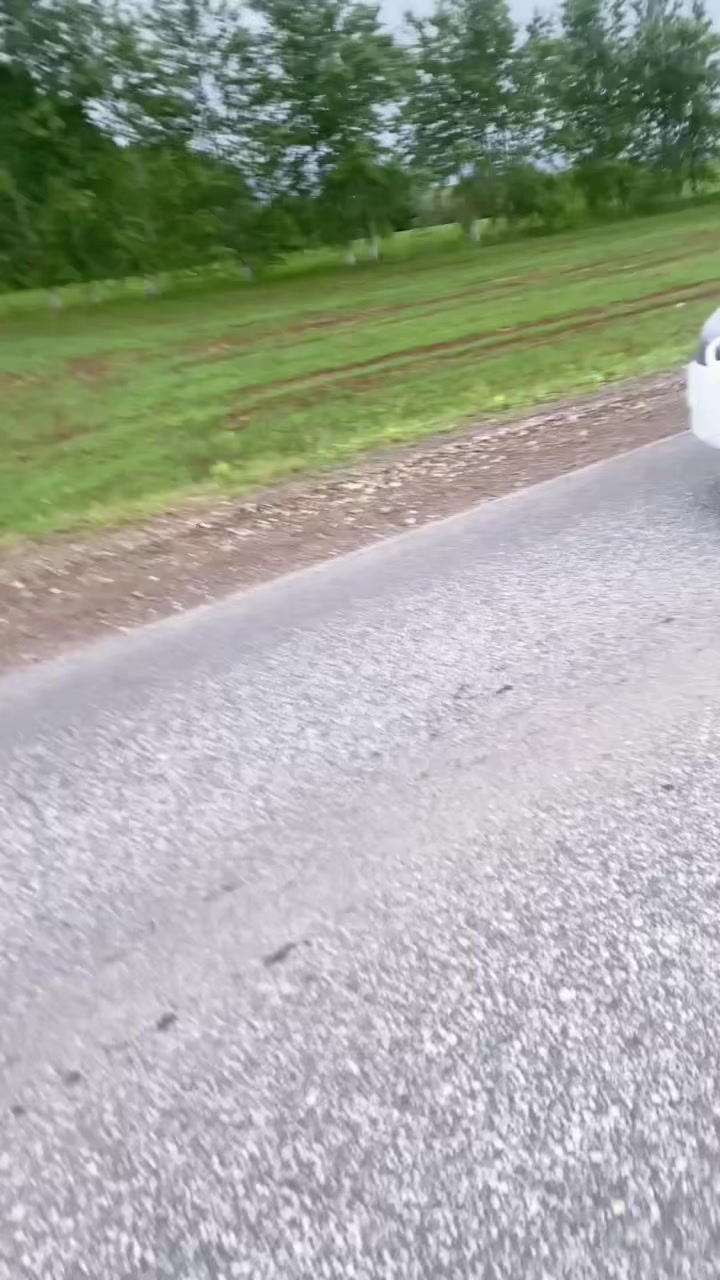 @Stogin8.88