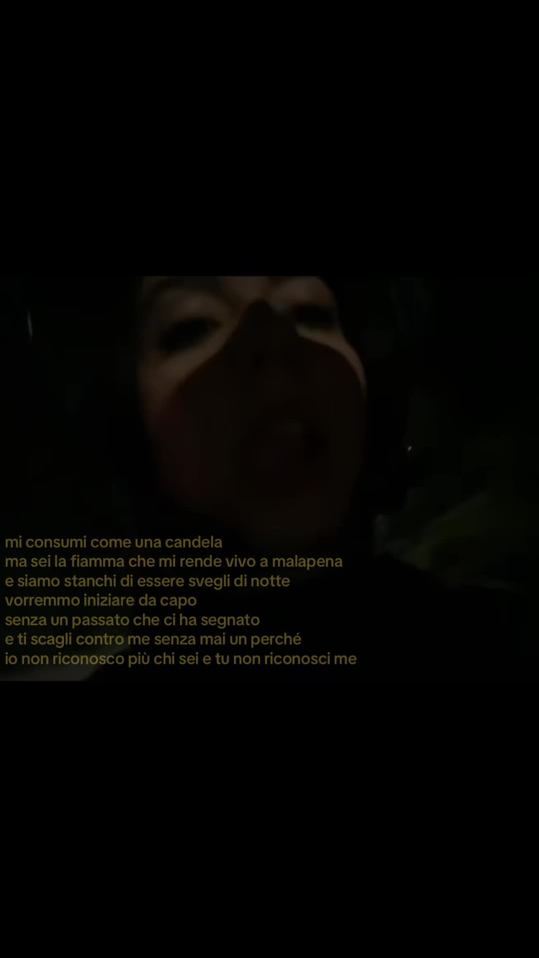 @spamm_camy