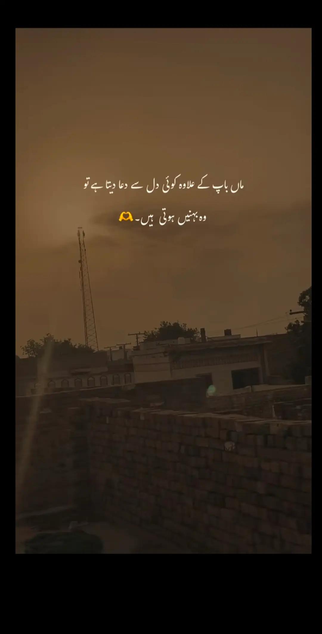 @❤️ AFIFA ANSARI ❤️