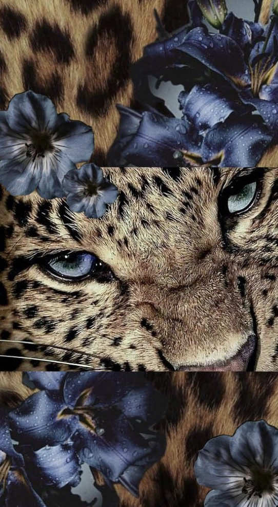 @𝓝 𓆉 𓆝