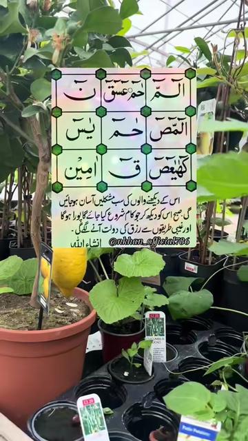 @Sister N Khan♥️