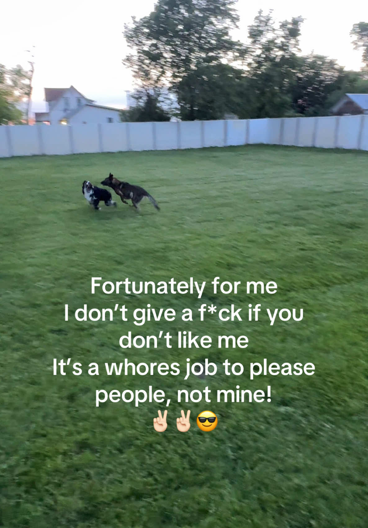 @K9 Dina
