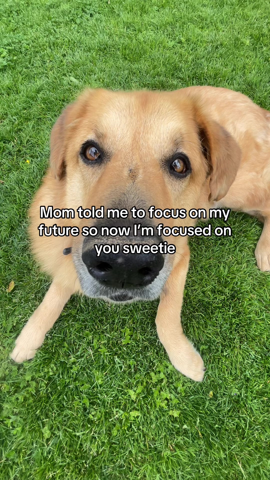 @Neo
