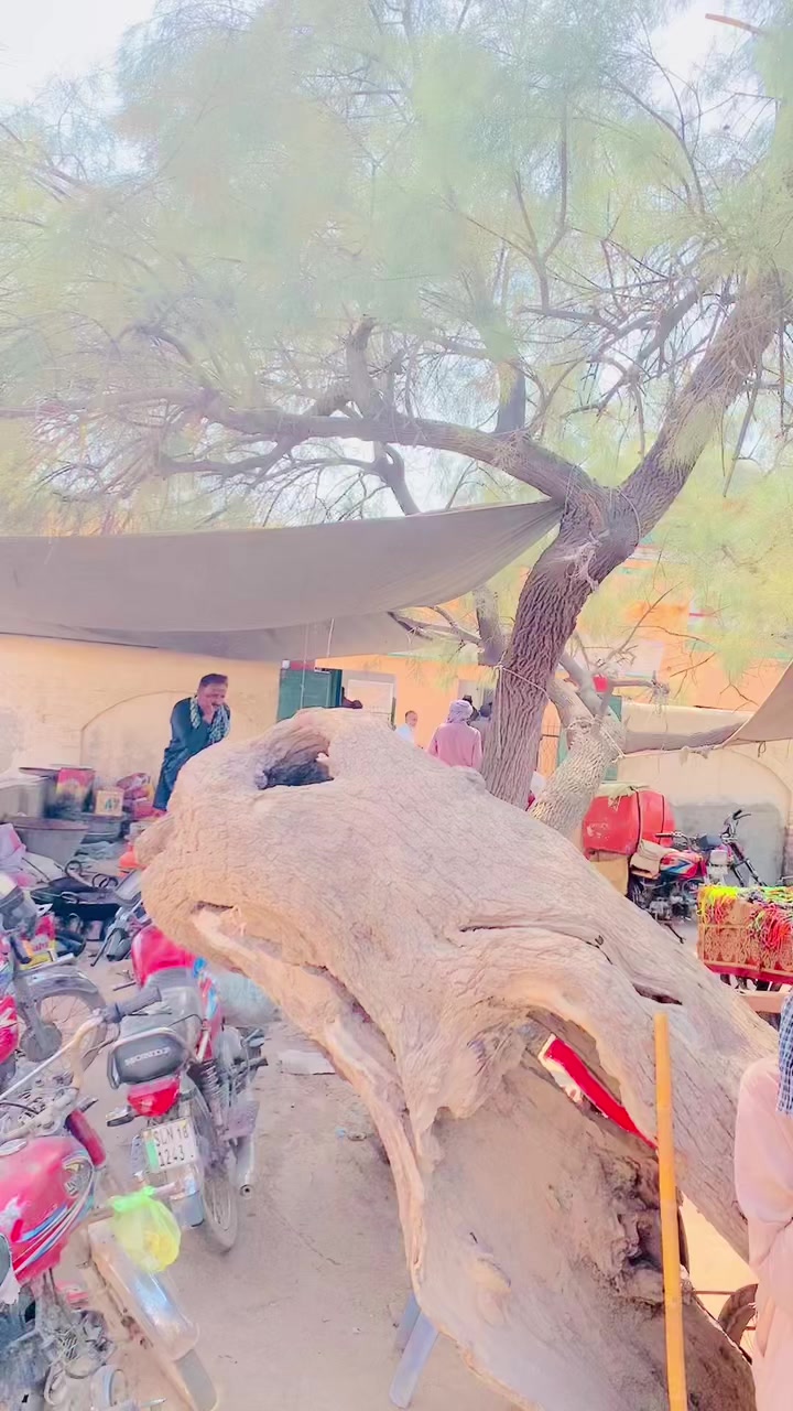 @nazam_joiya853