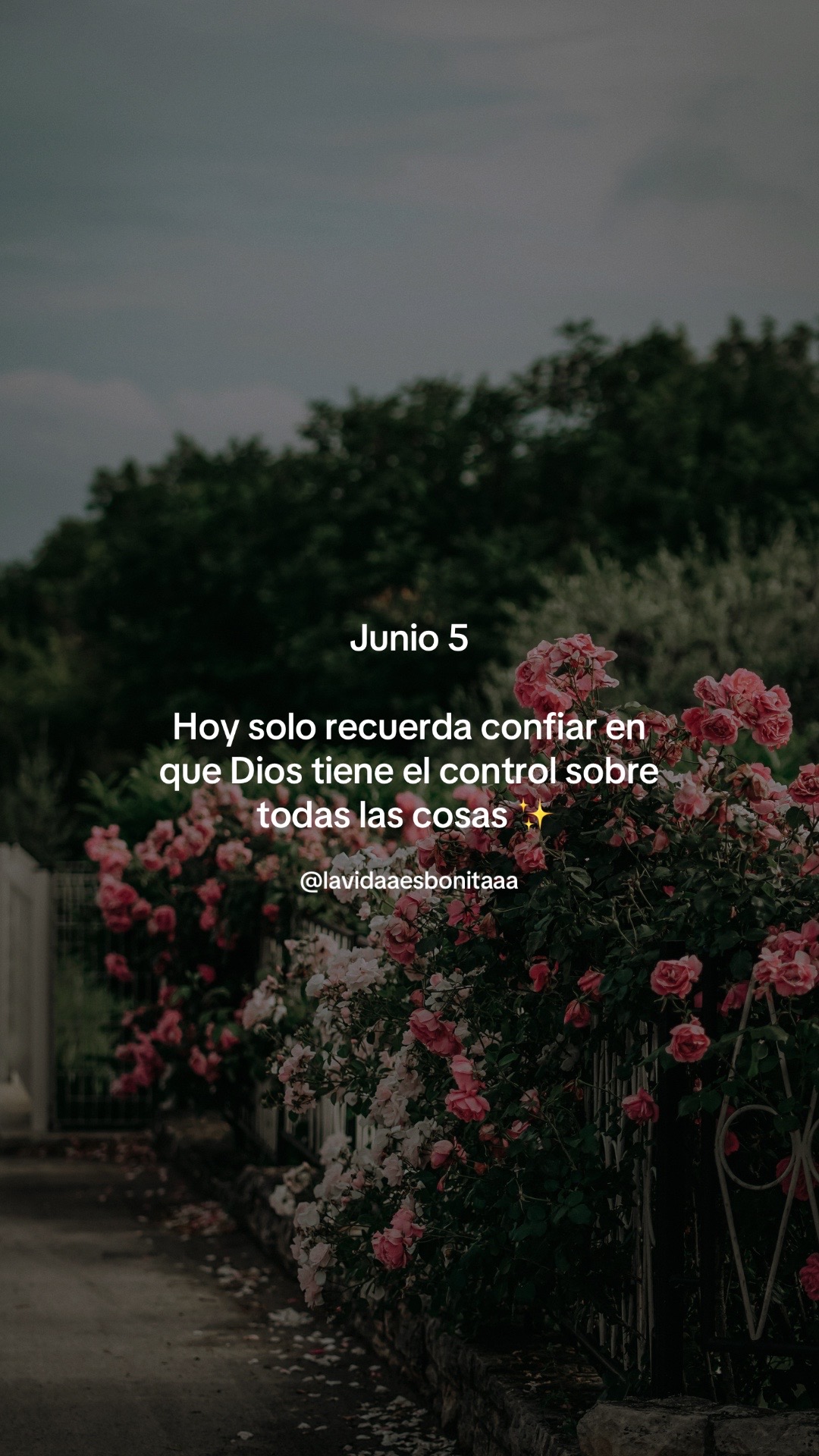 @vidabonita❤️‍🩹