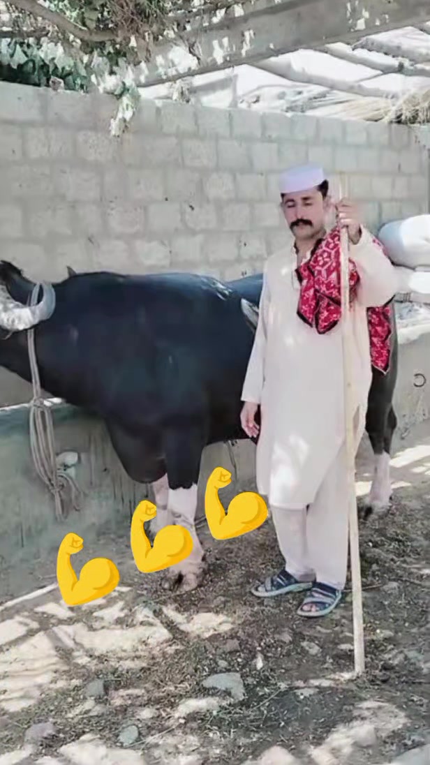 @ASAD Sarkar123