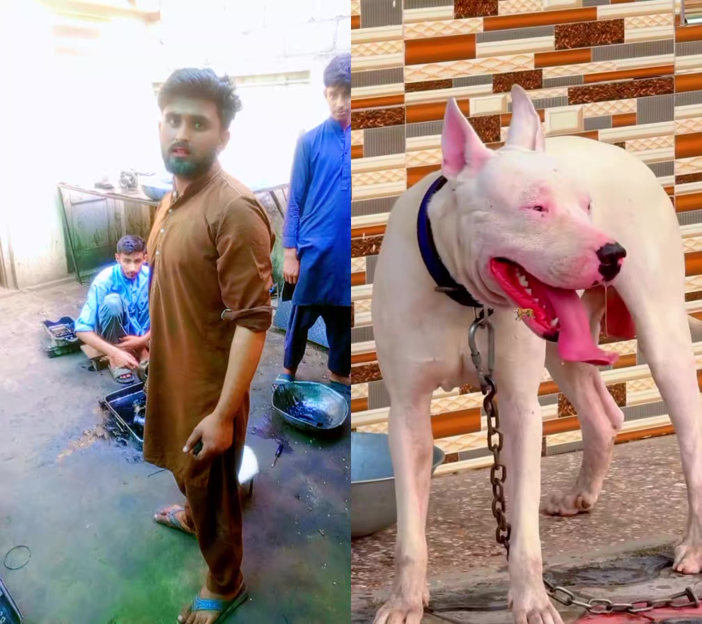 @kashi jutt Kharri ala