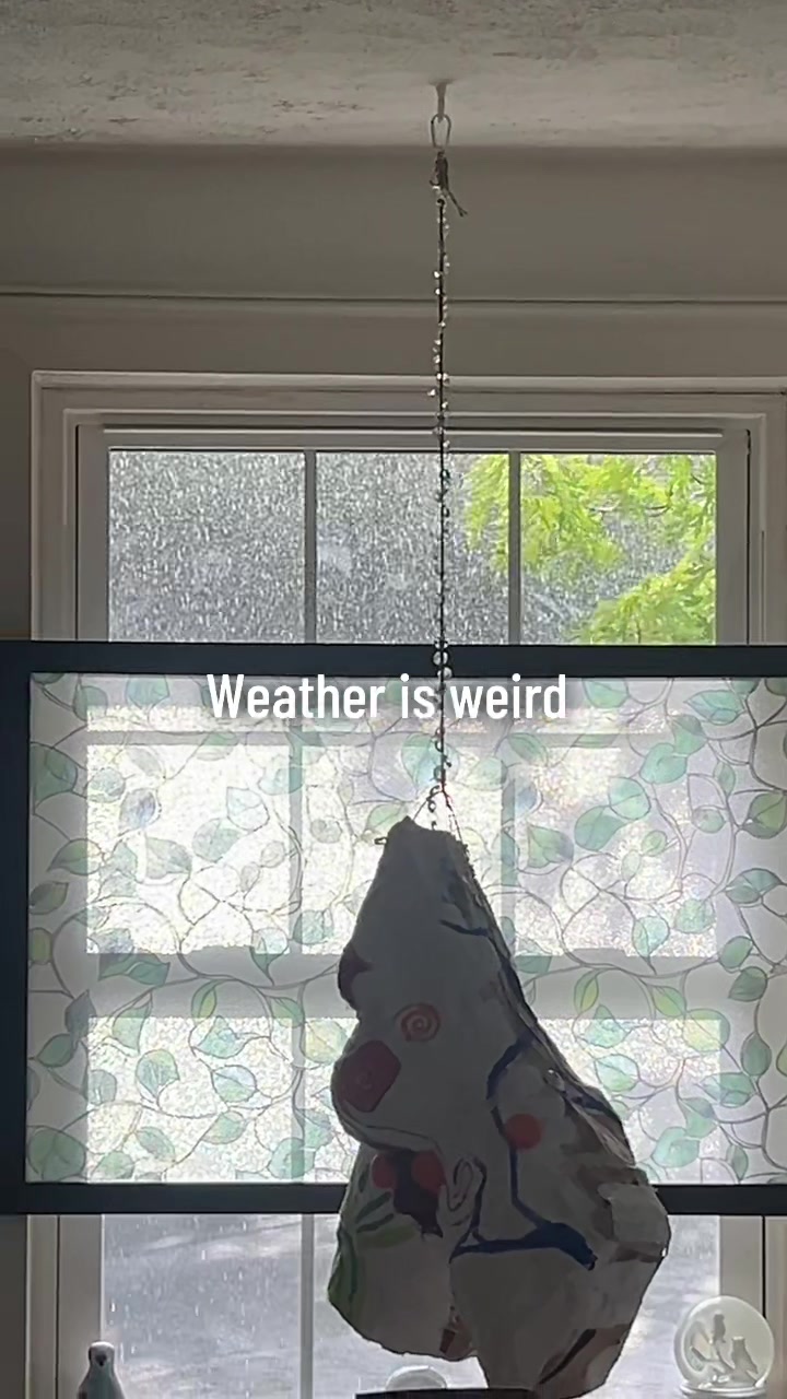 @ShelliSitsWeirdly