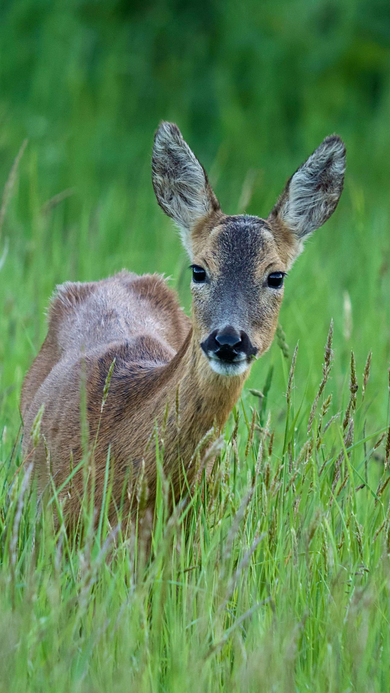 @paulhackett56