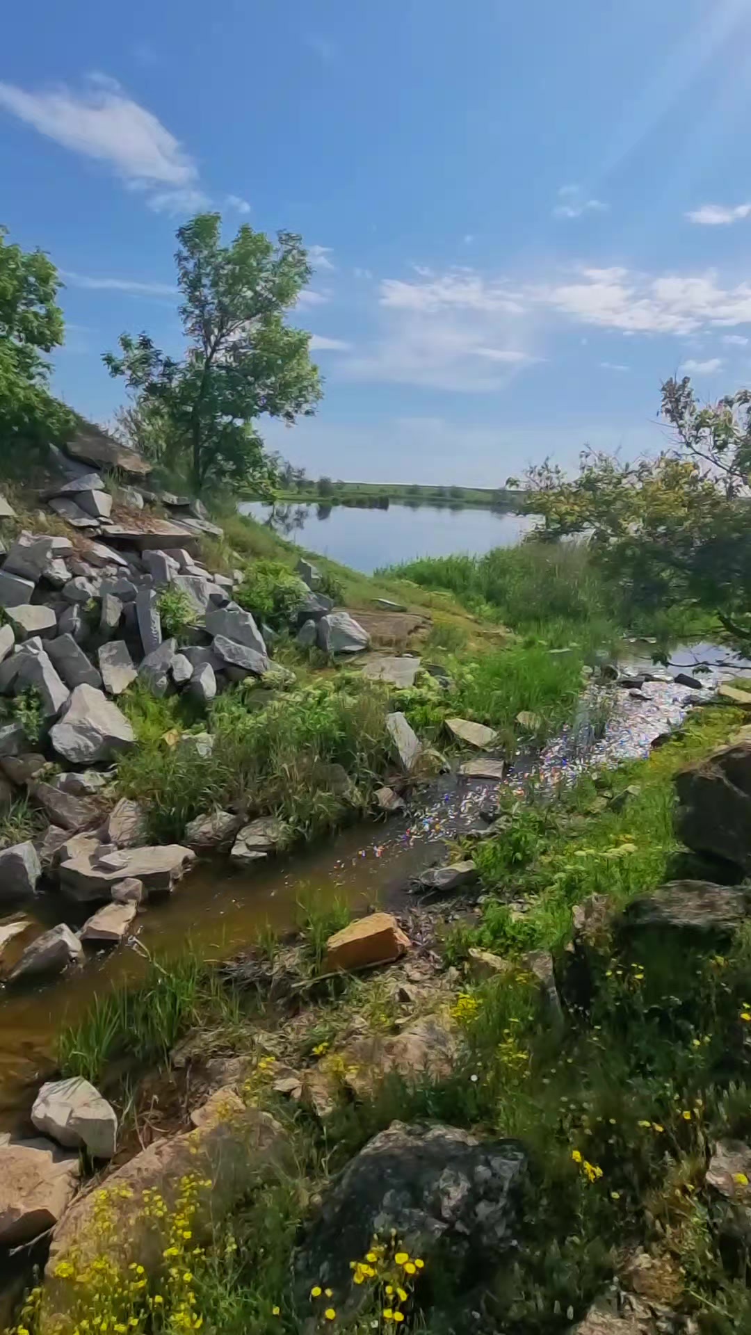 @Еленка