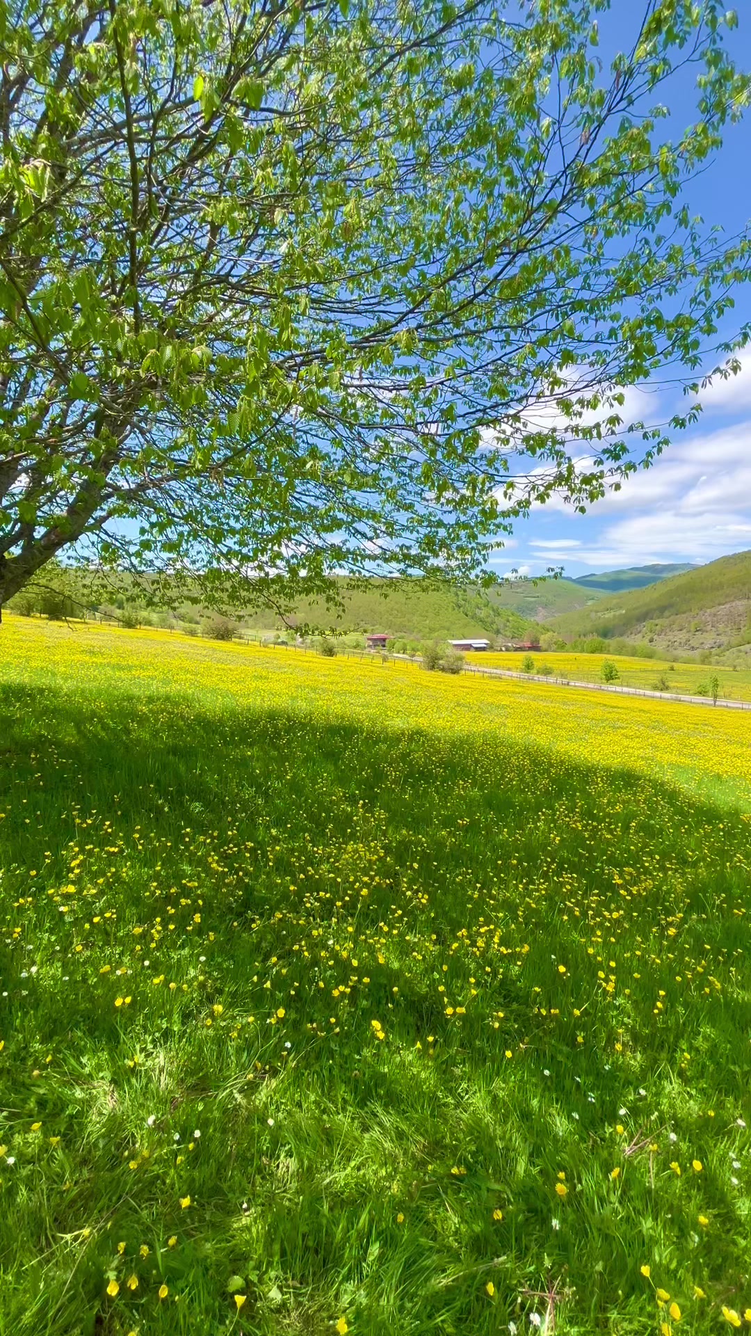 @𝓛𝓸𝓴𝓶𝓪𝓷𝓑52