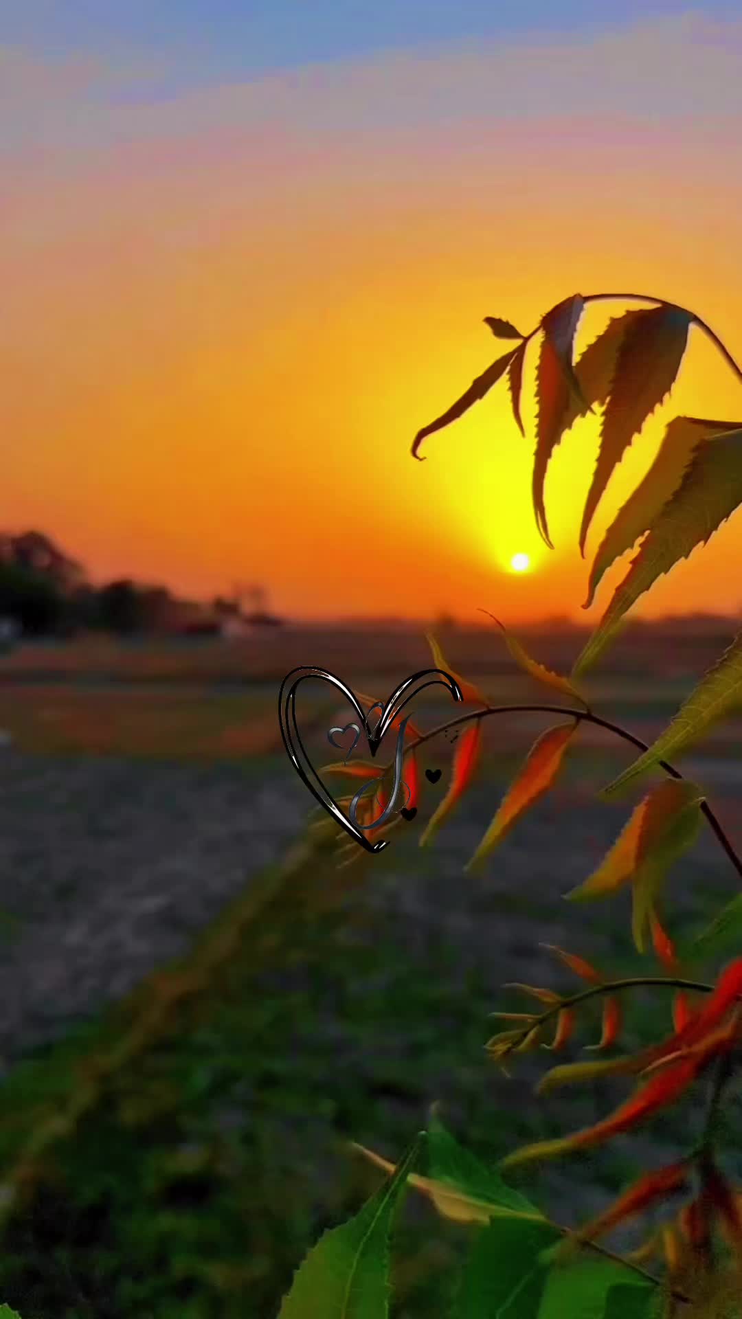 @@Jyoti-61🤍J🤍🧿