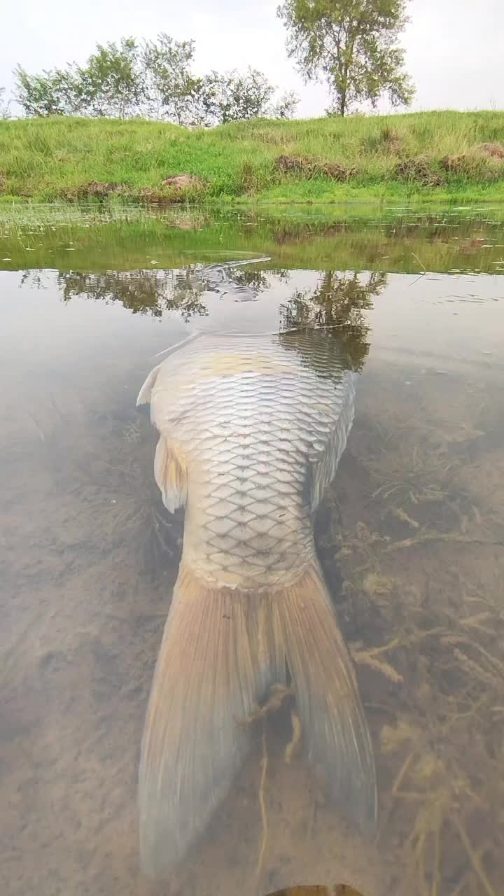 @Fishing