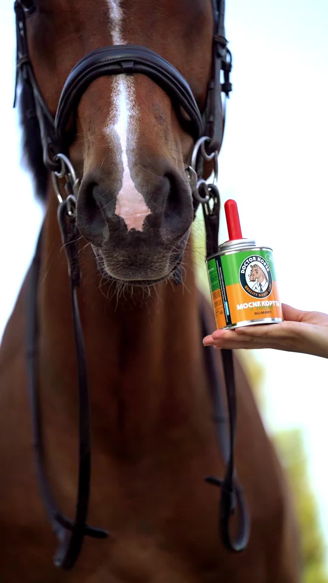 @Doctor Horse