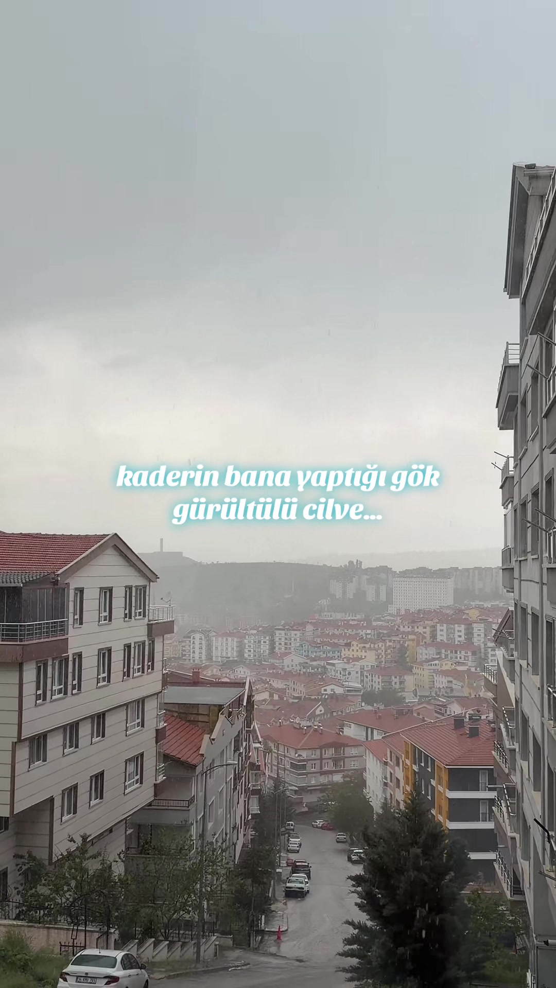 @merve🌻