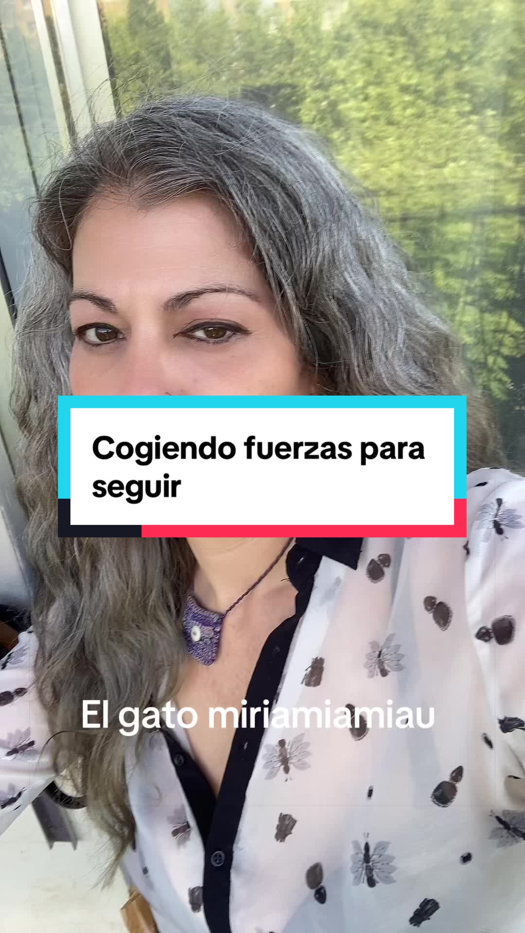 @@diariodeunafenix