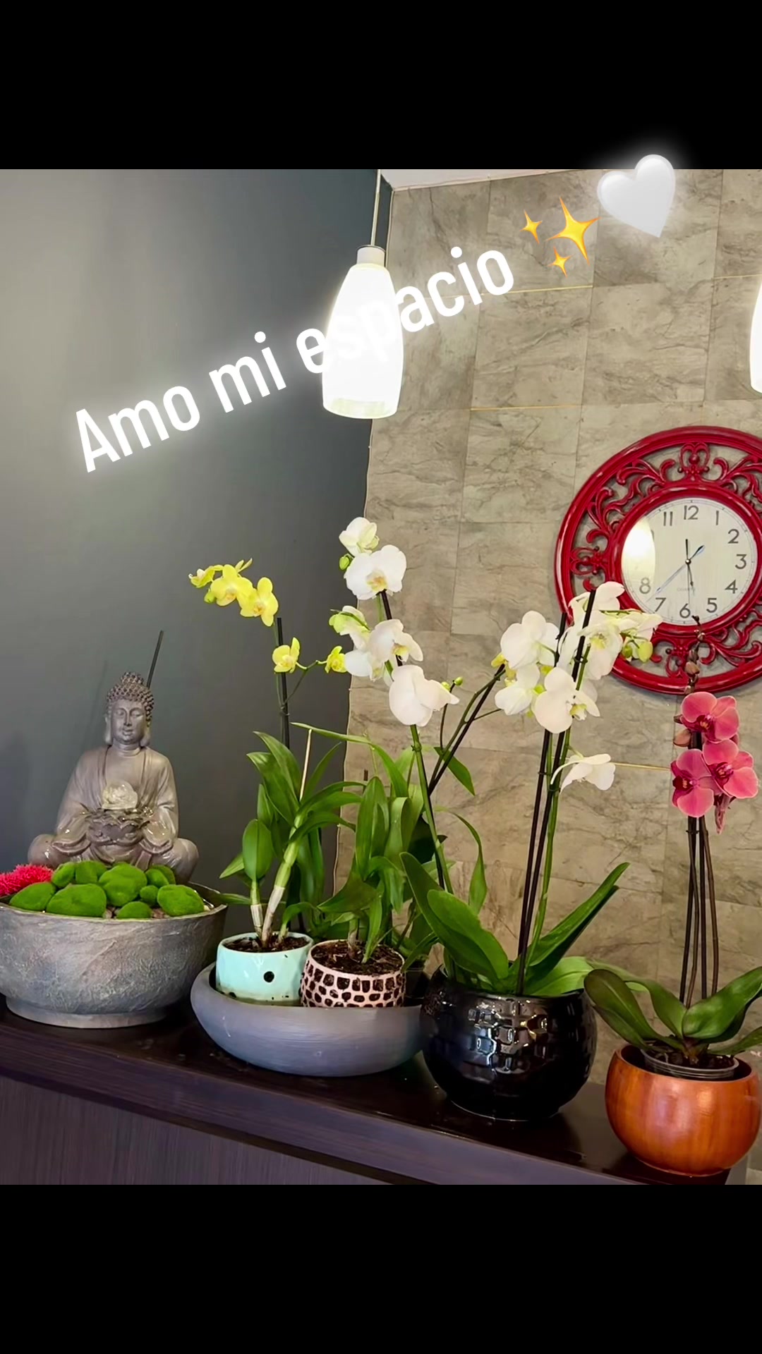 @Rigo Hern&aacute;ndez