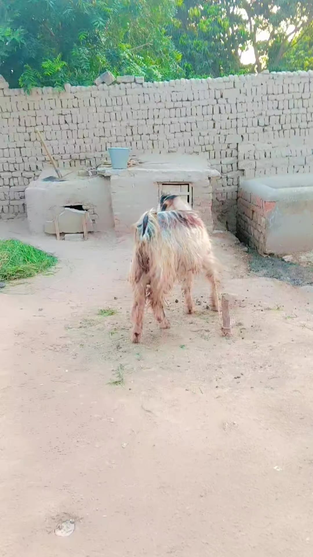 @Shahid Khakhi