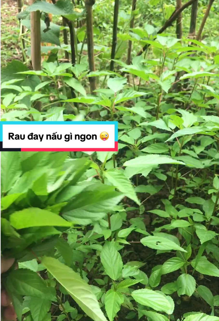 @Ẩm Thực Nhà Làm