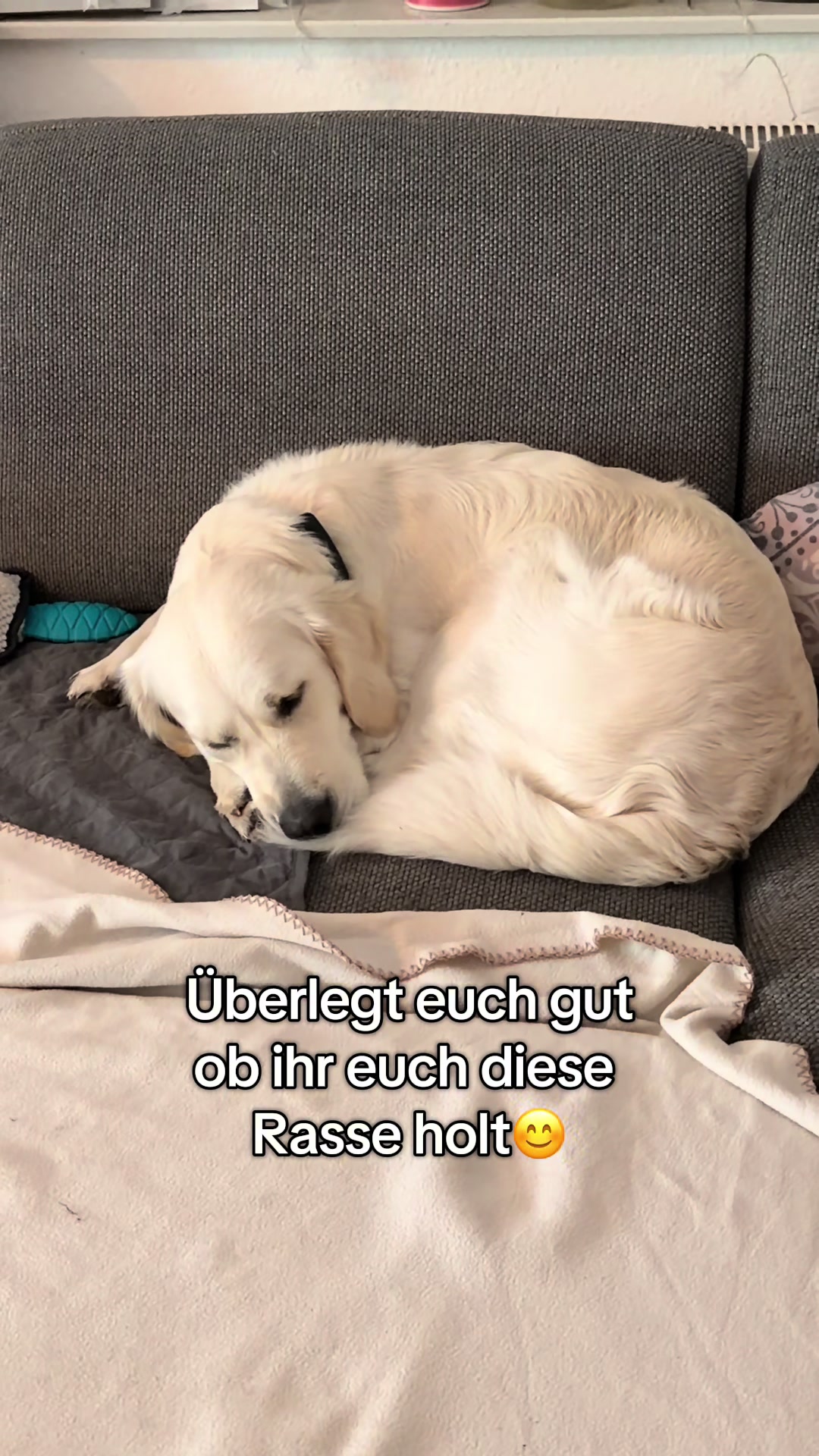 @Melli86