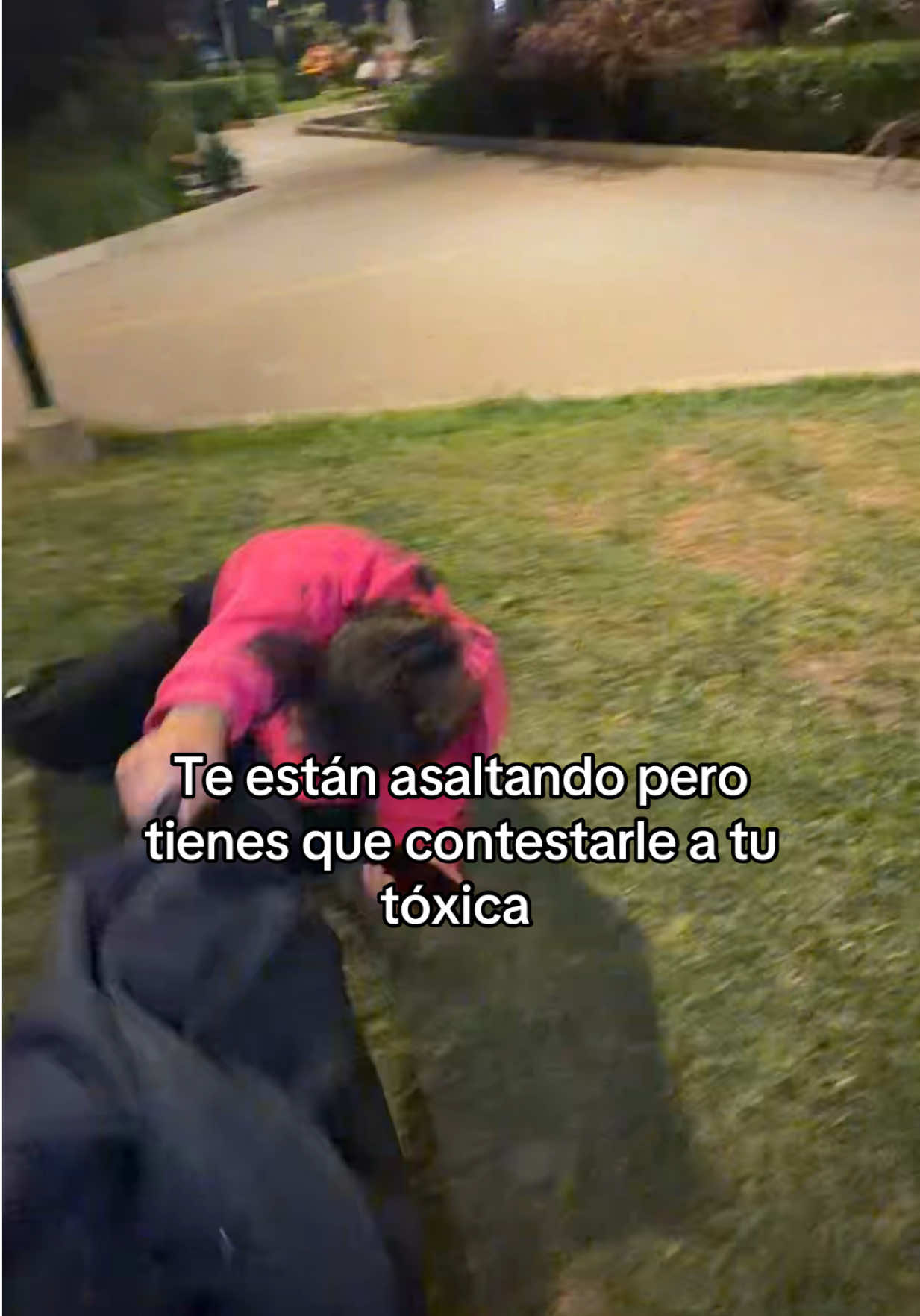 @gatitooficial8