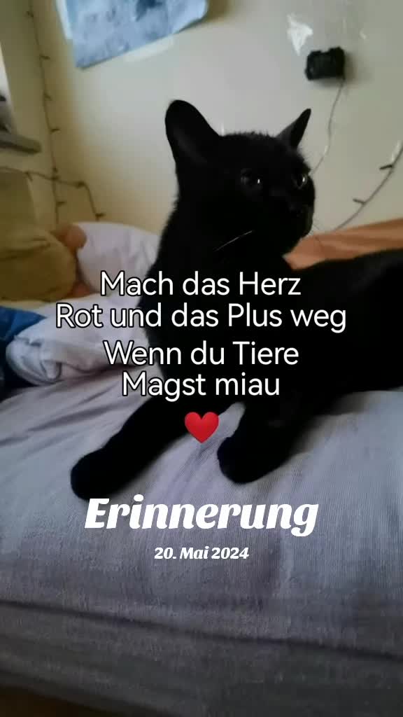 @juli🇩🇪🇺🇸🇷🇺