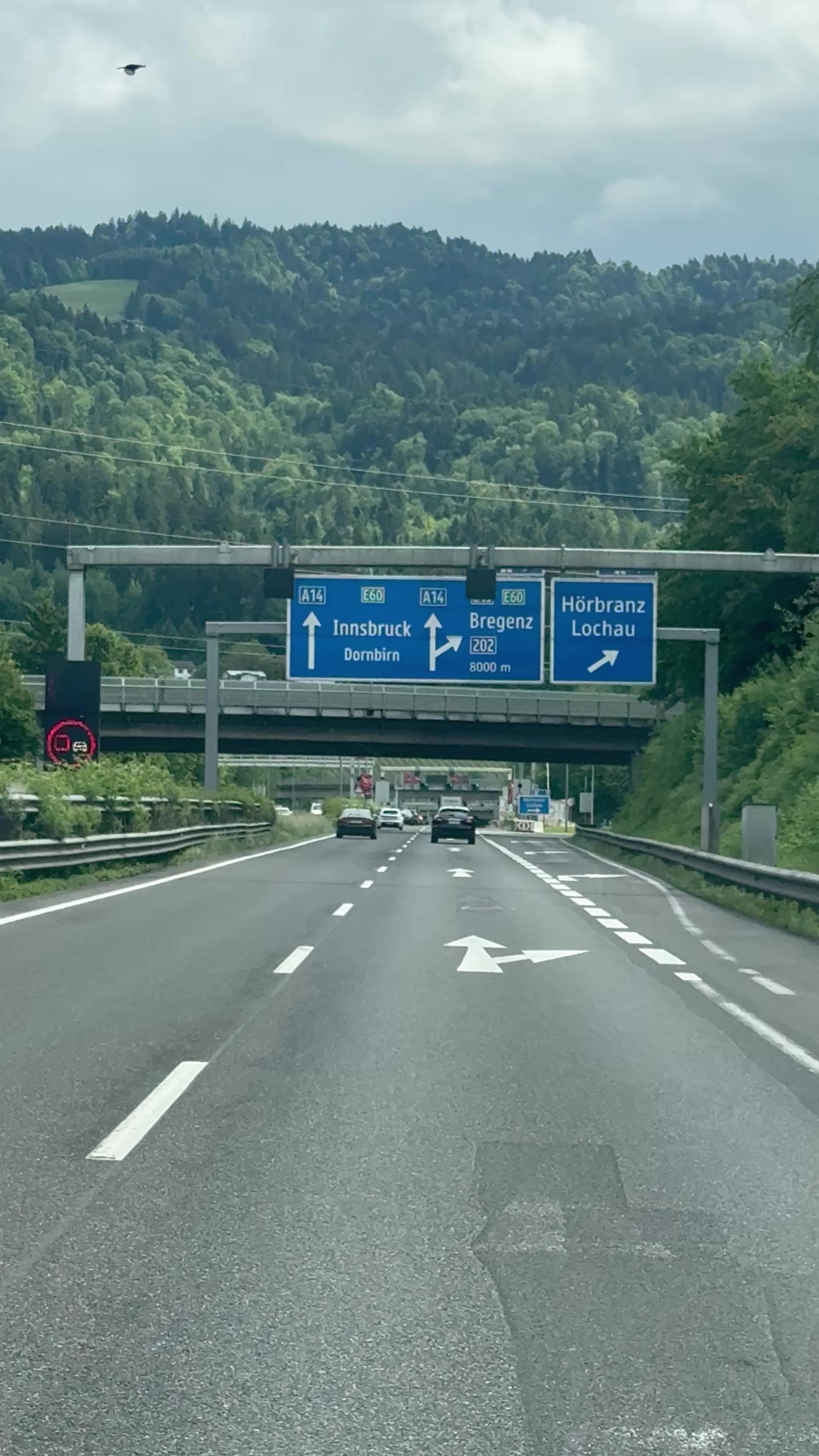 @Alexander