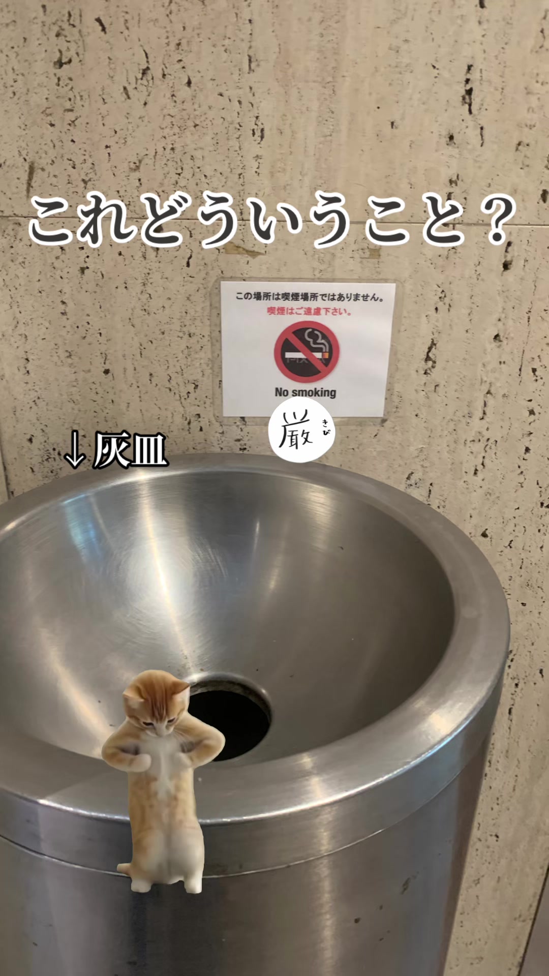 @腐ったトマトちゃん