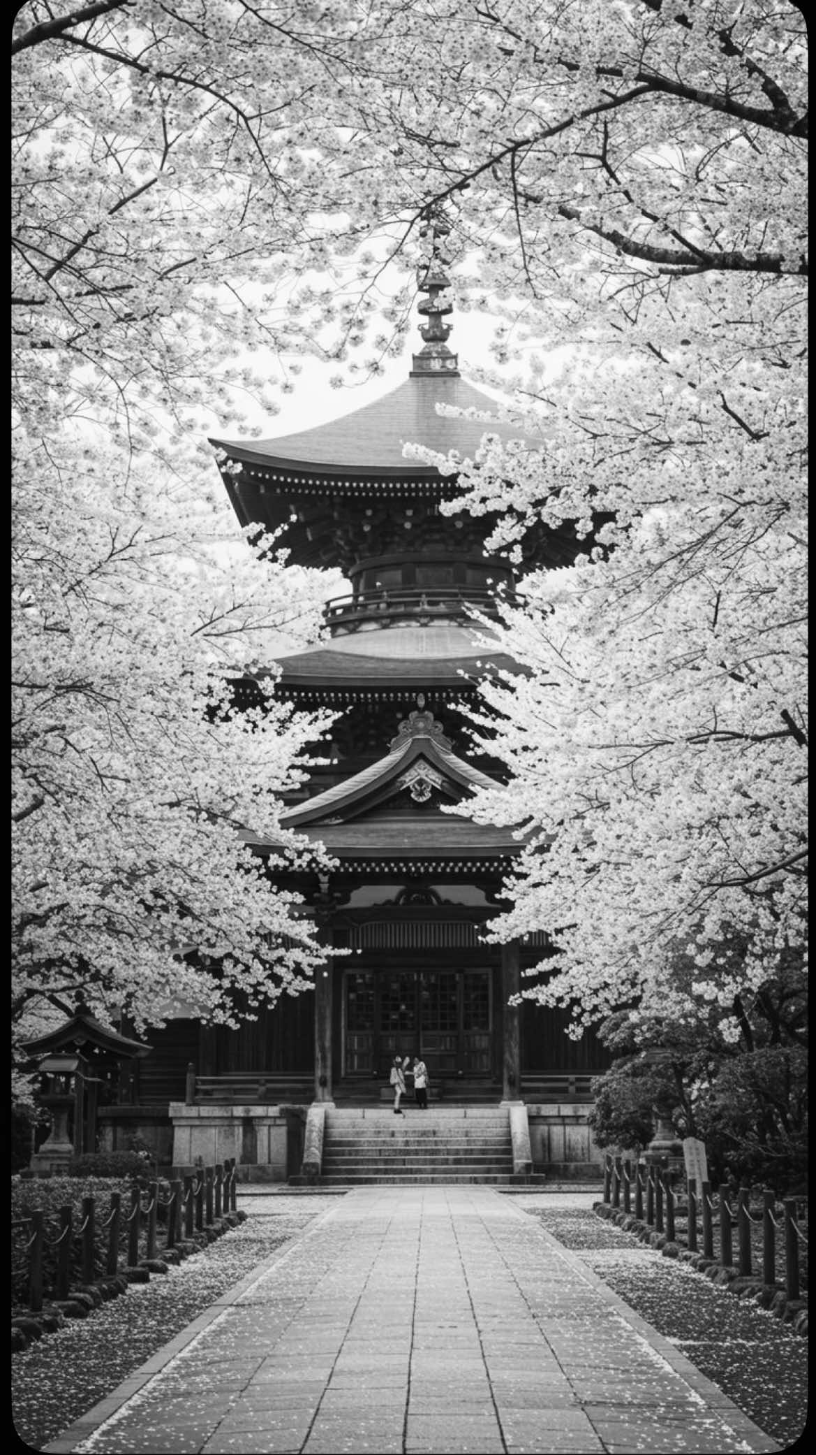 @🌸𝐌𝐨𝐮𝐧𝐚🌸