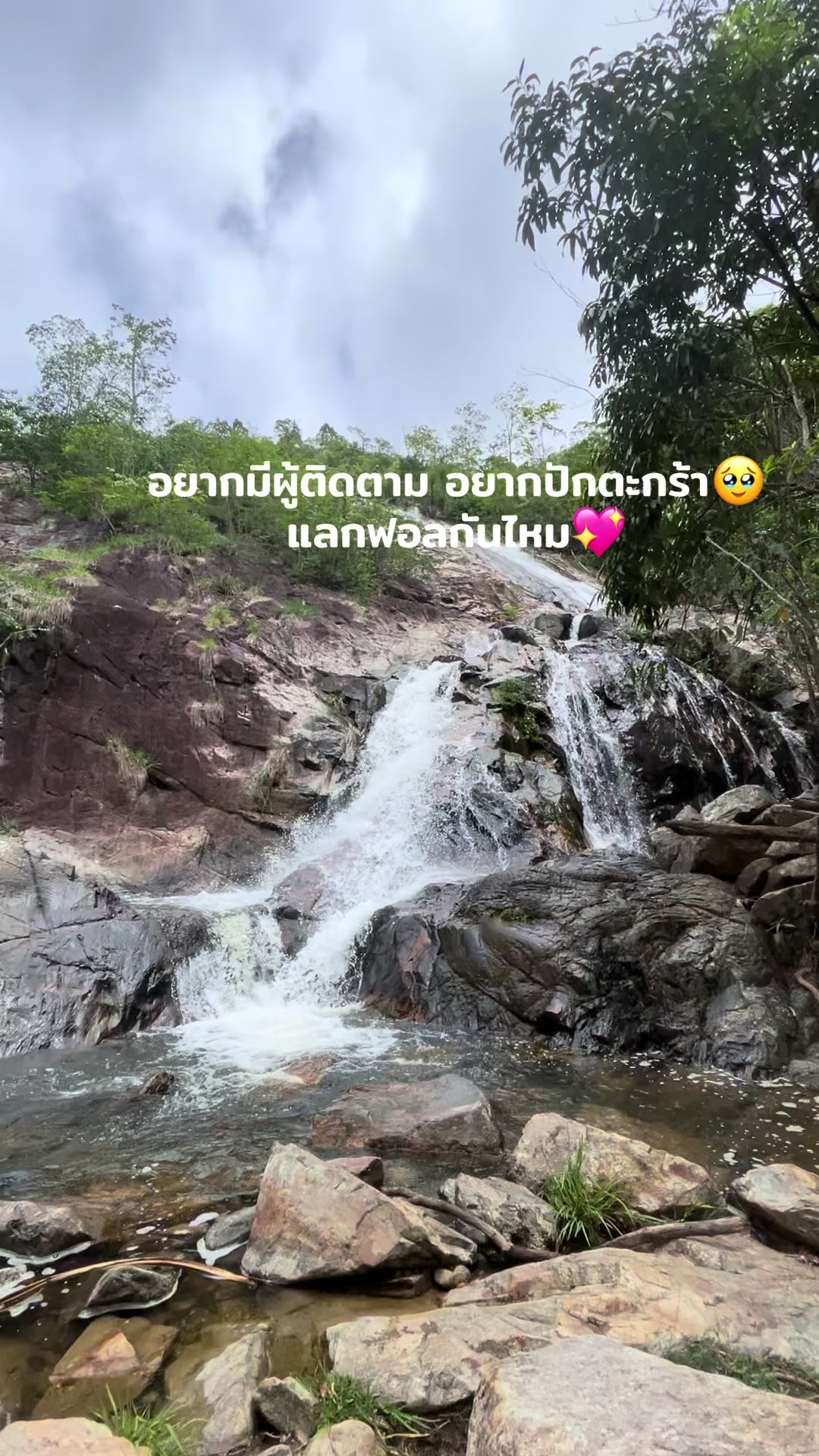 @วันนี้ทำไรดีย์🌟