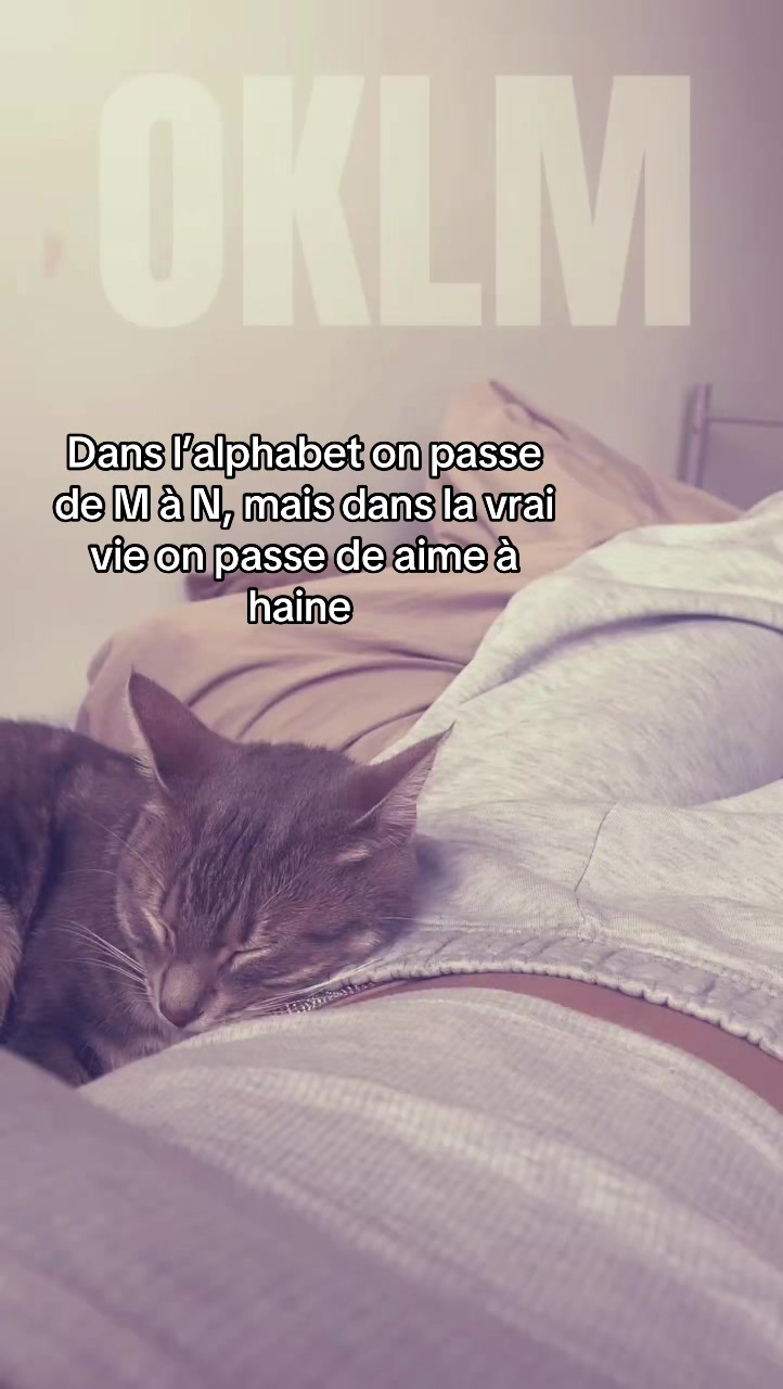 @loulou23