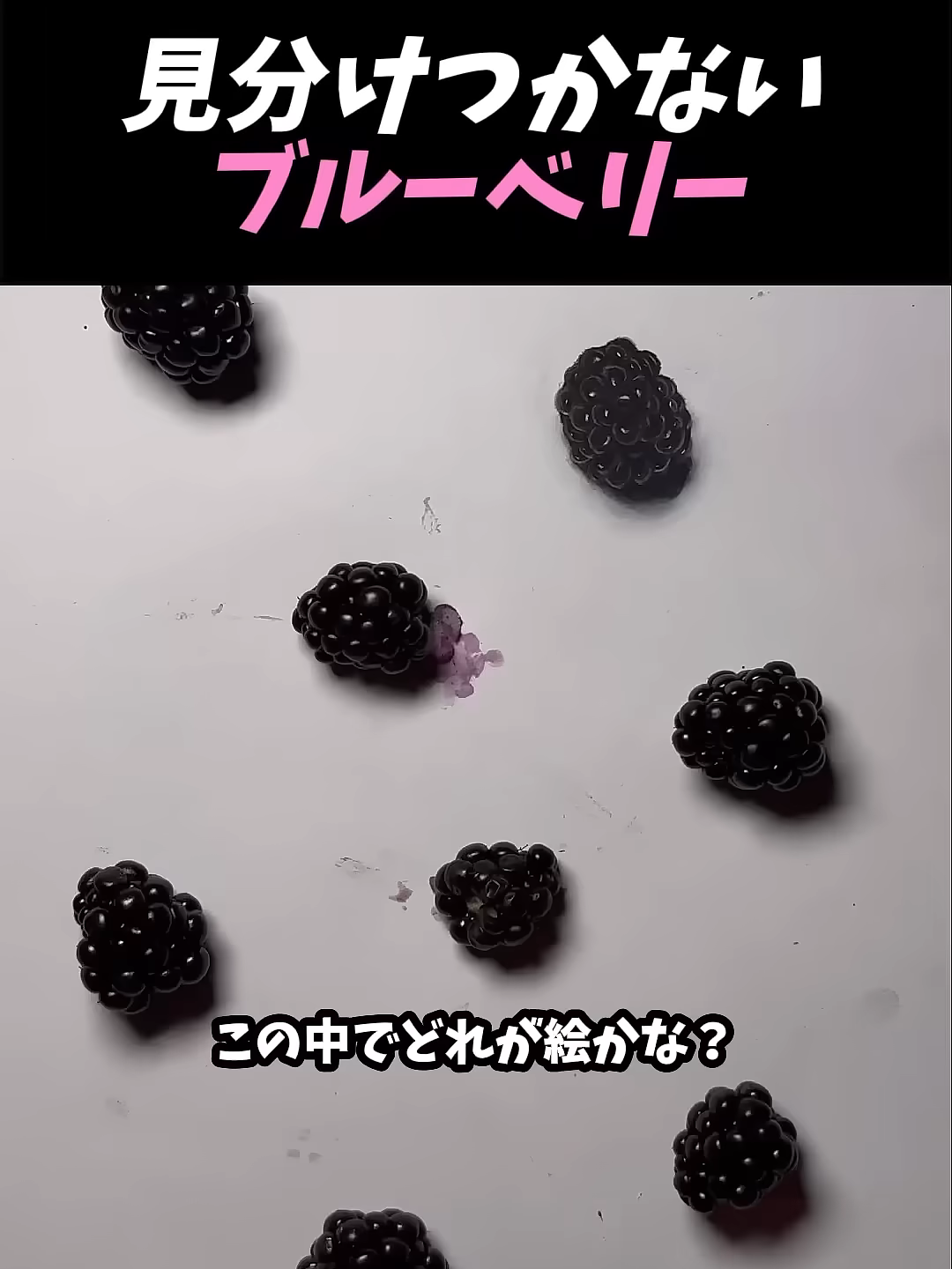 @오늘도 숏츠