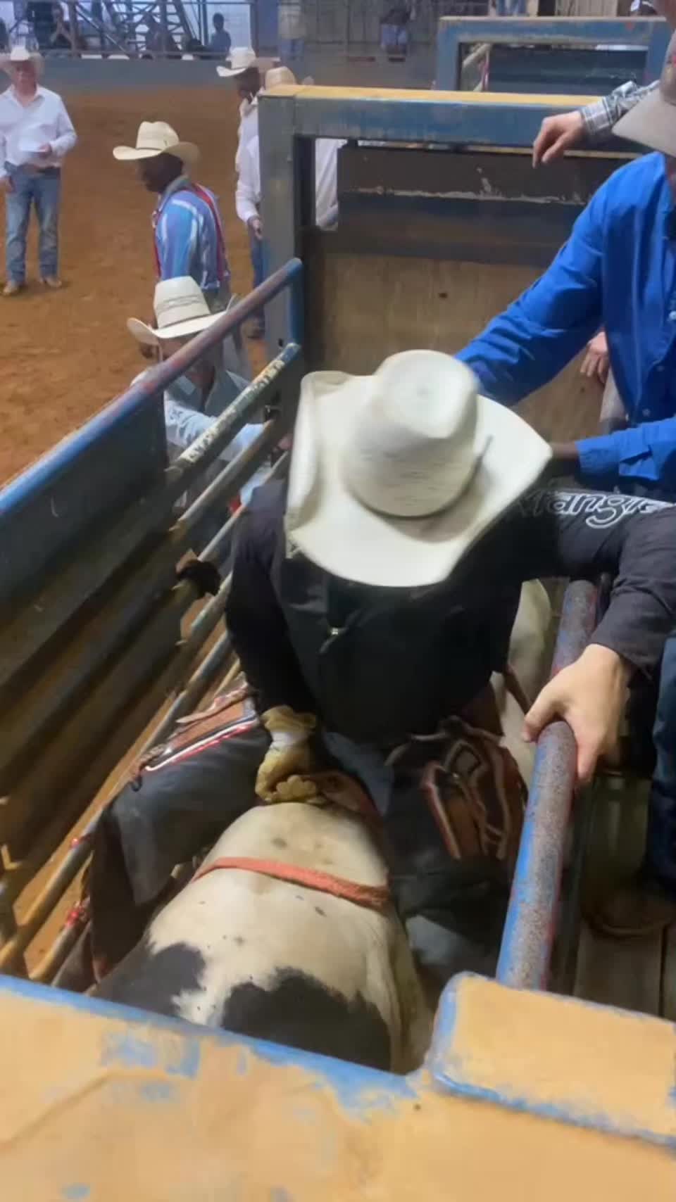 @🪶bullhand🪶