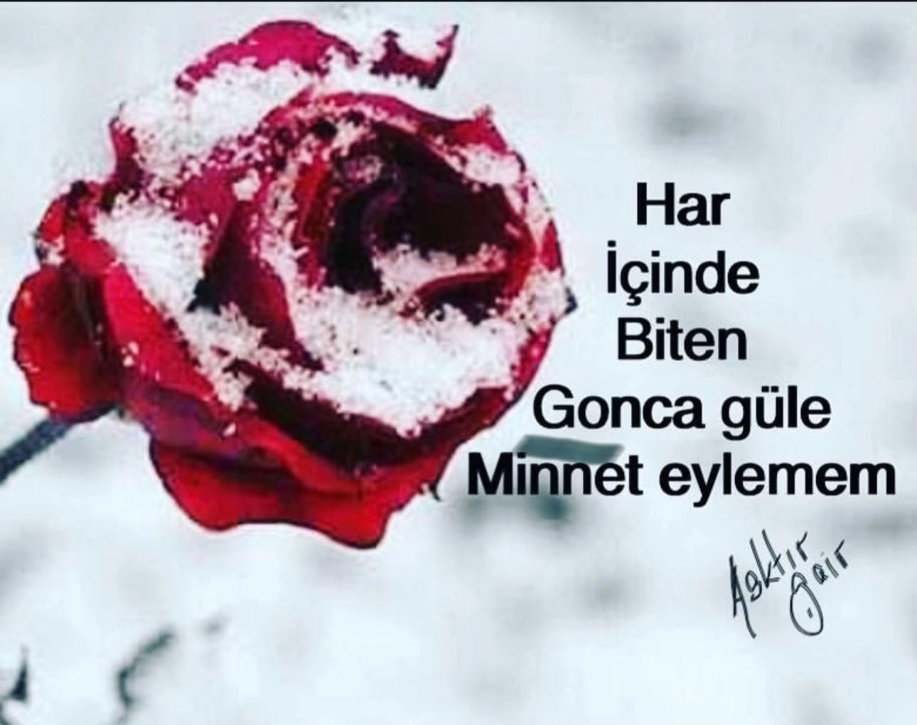@🇹🇷𝓞𝓛𝓖𝓤𝓝🇦🇿 Söz yazarı