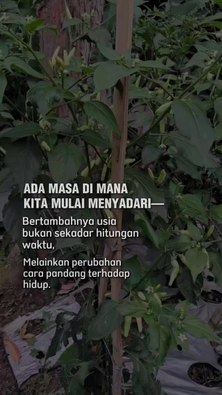 @dewidailylife