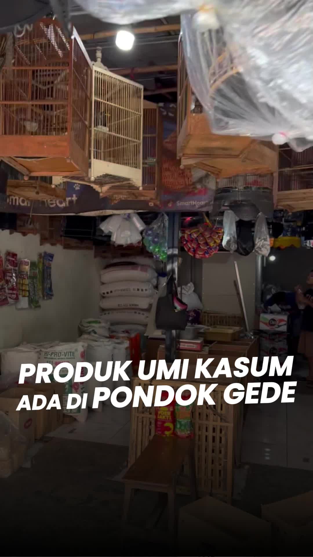 @umikasum.official