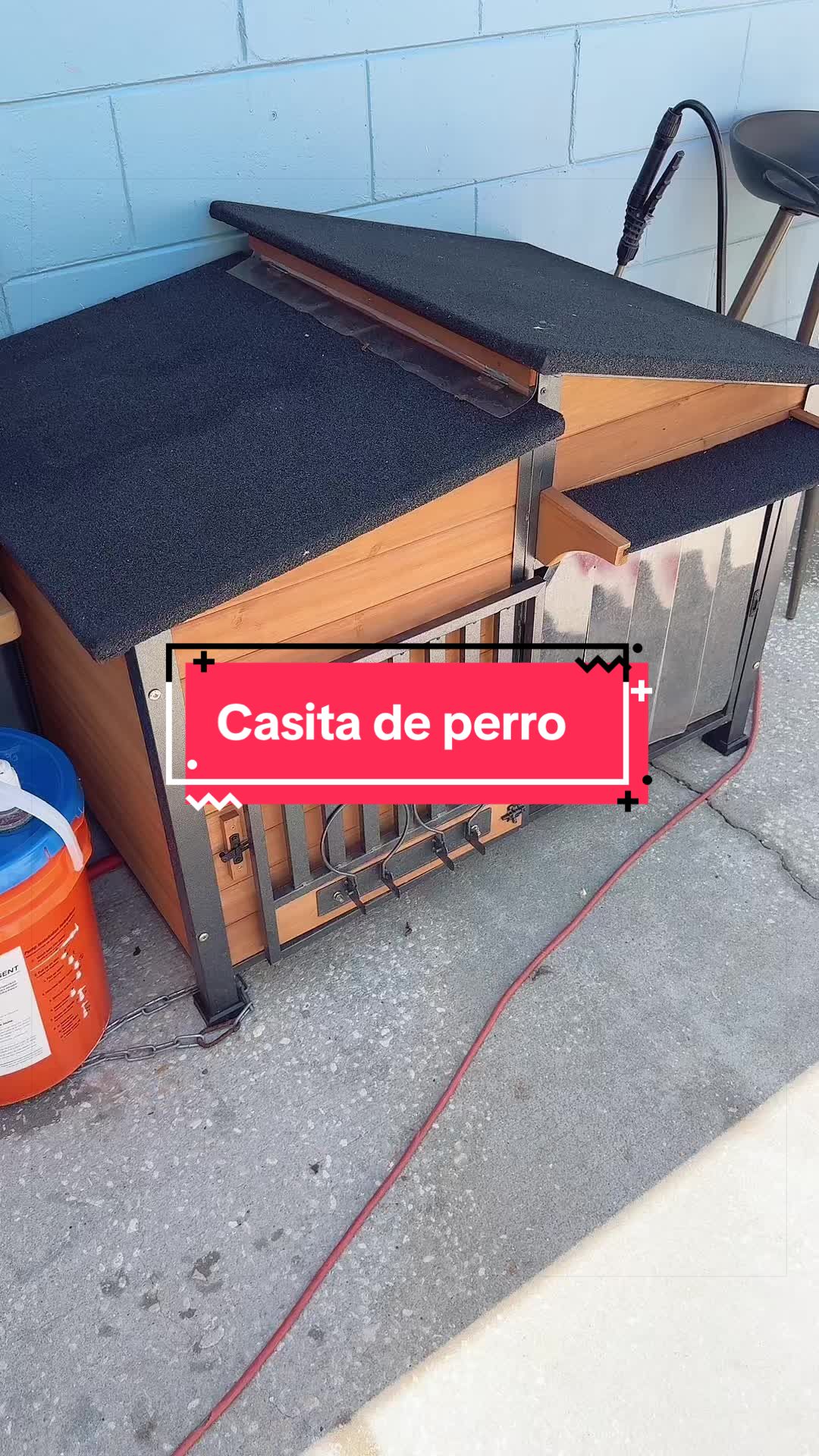 @Leivy Torres