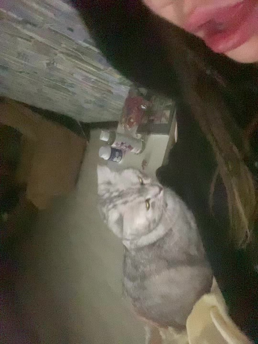 @Карэнчик🥷🏻