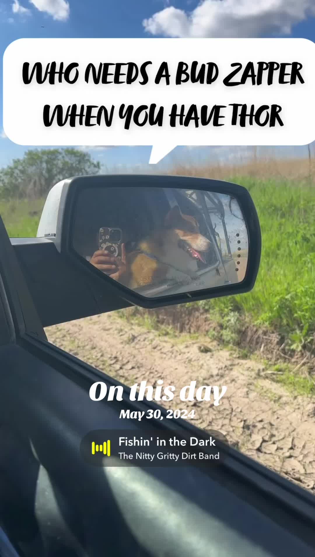 @Thorgi_thecorgi