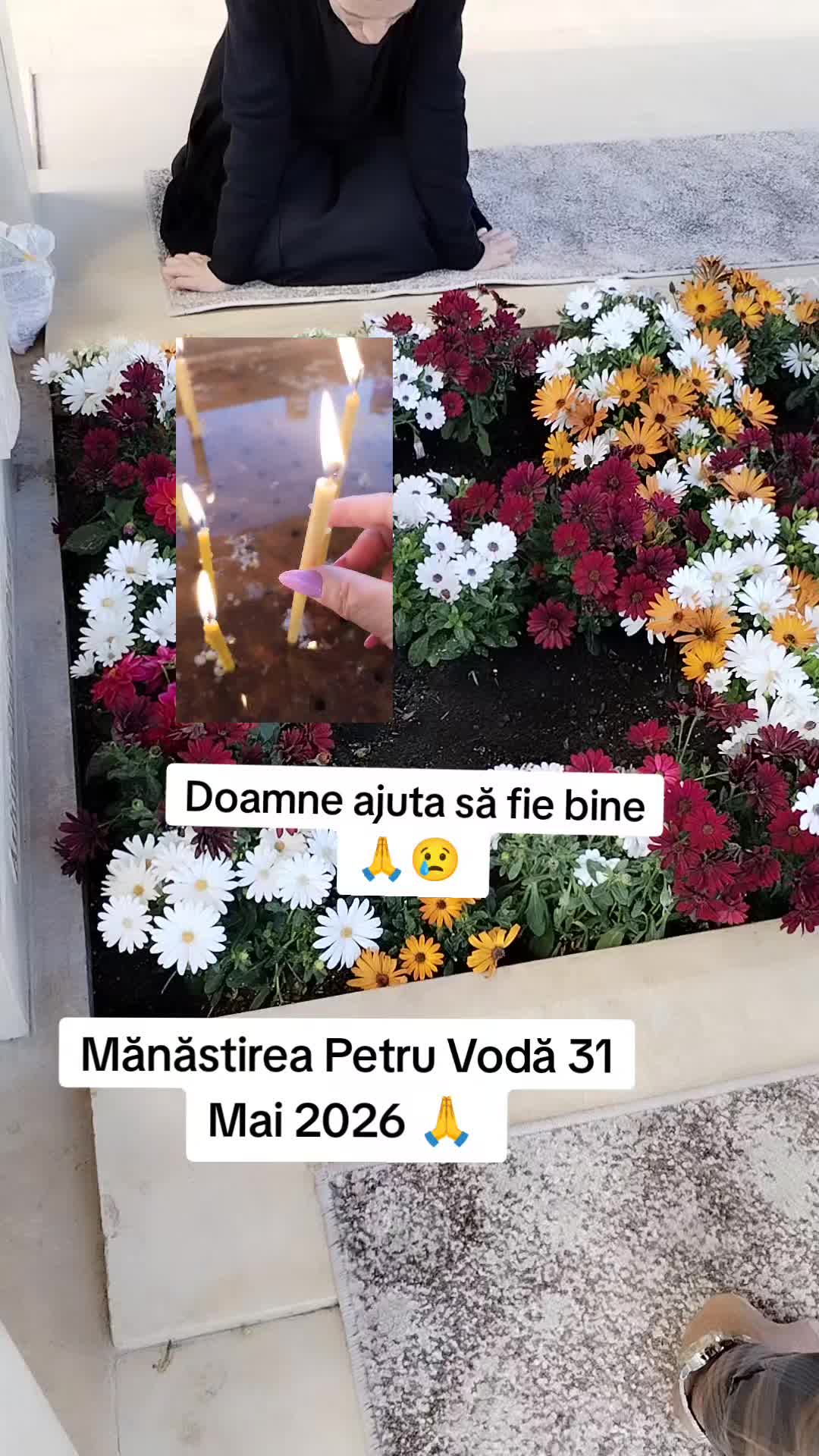 @Dana Berea921