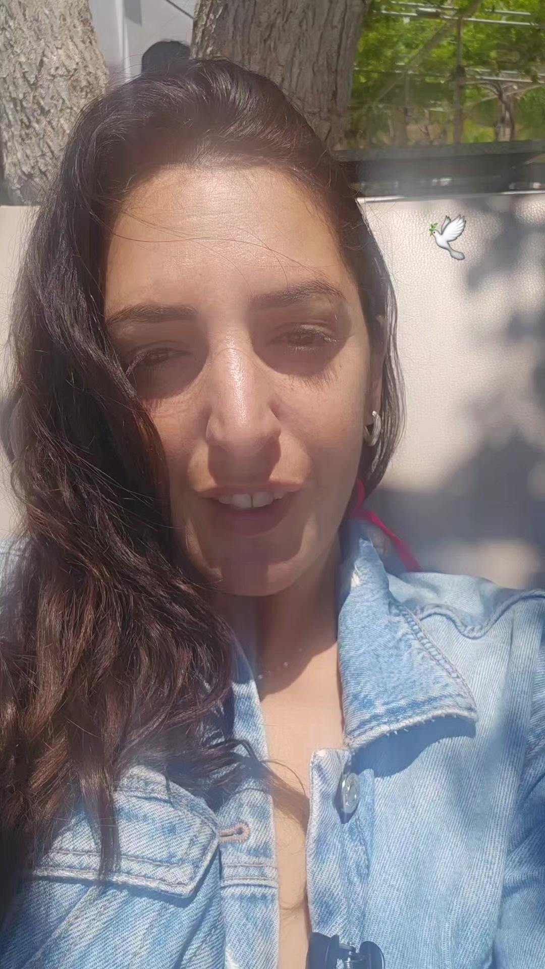 @ortal.picard