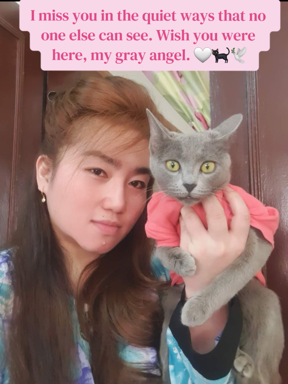 @🐾Feeding Stray Cats Daily🐈&zwj;⬛
