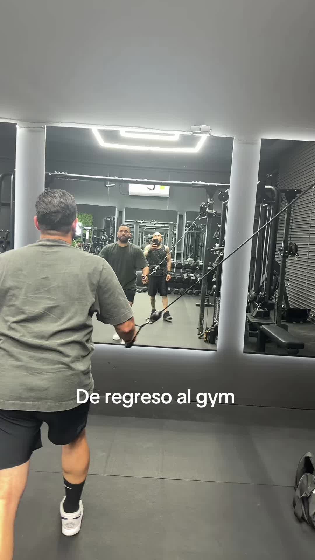 @Bicho503