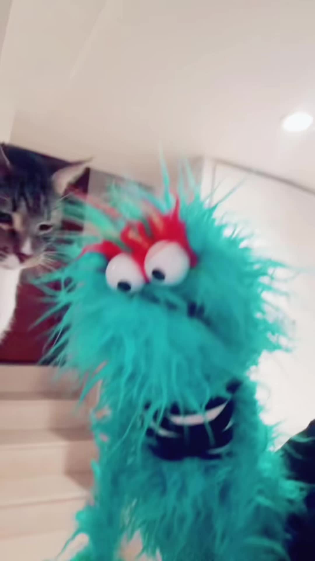 @MUPPETPOOL