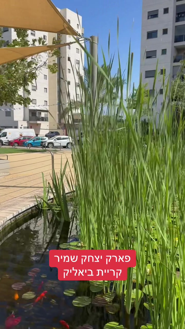 @אלי דוקורסקי, ראש הע