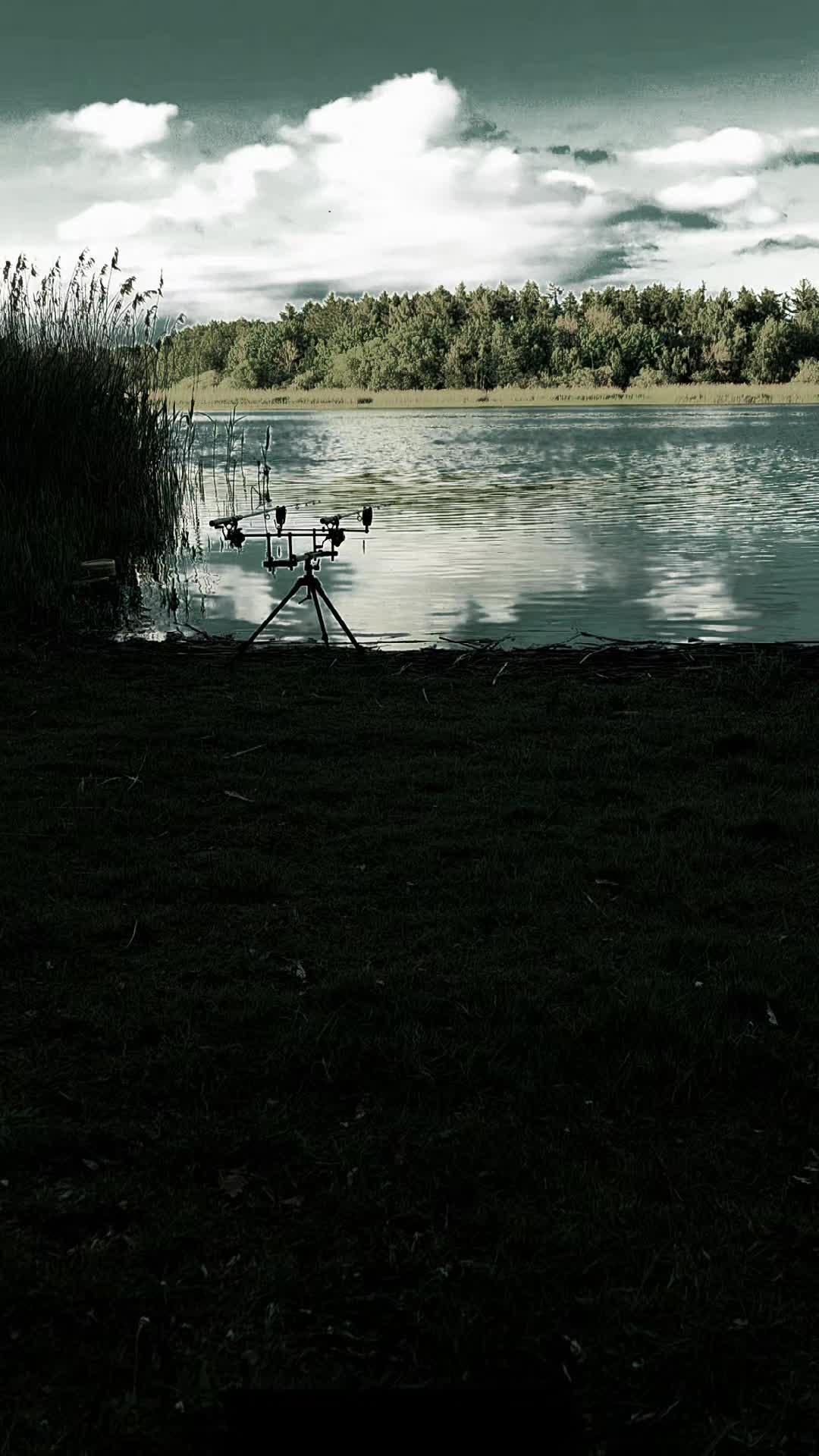 @Ronny carp