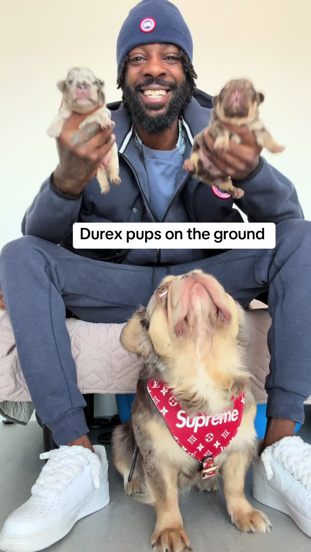 @Trendingbulldogz