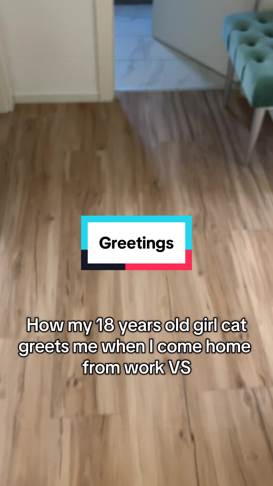 @Fibi & Bobo