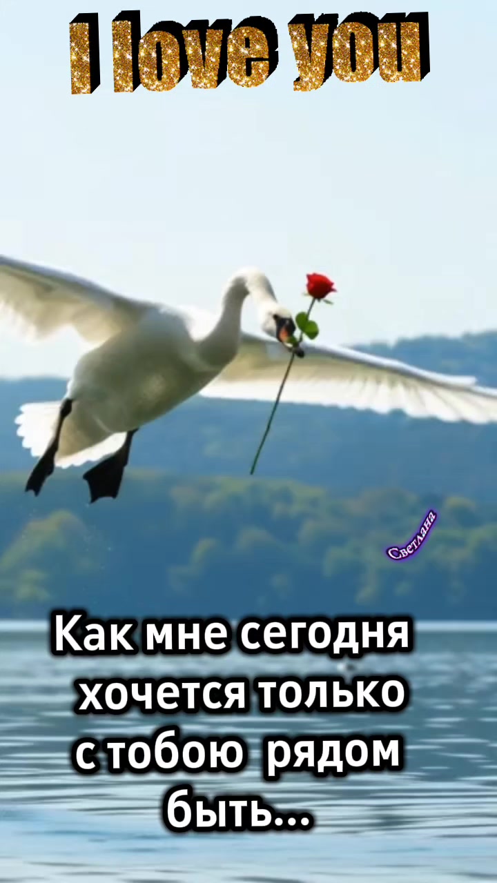 @Светлана