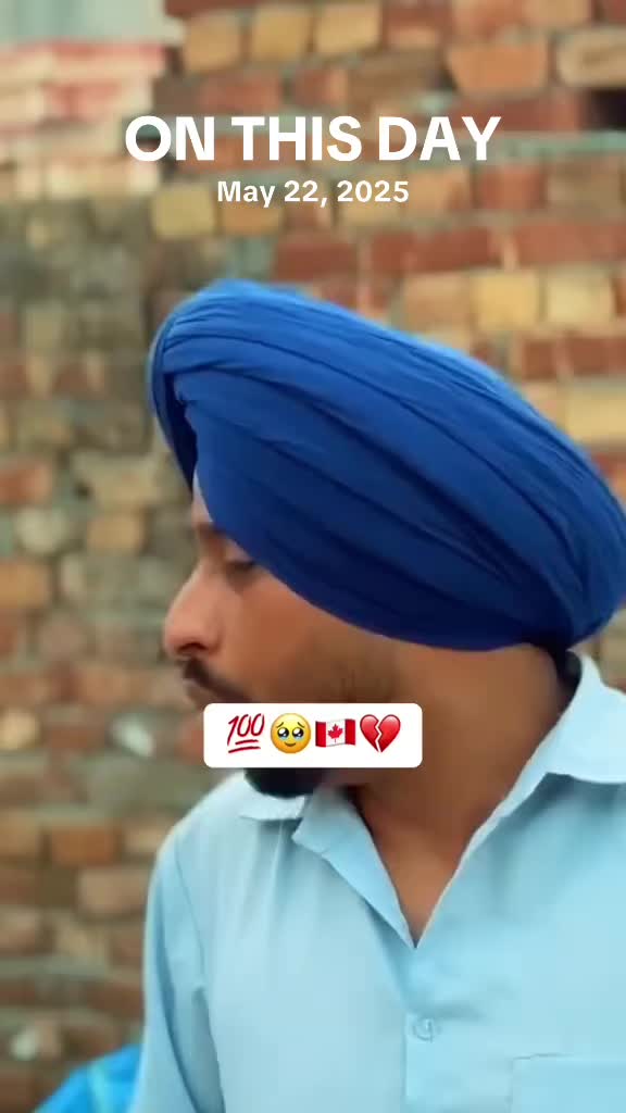 @vehlijanta761